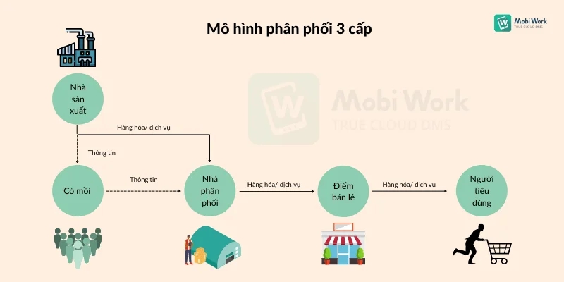 Mô hình phân phối 3 cấp